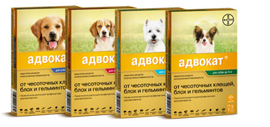 капли Адвокат для собак